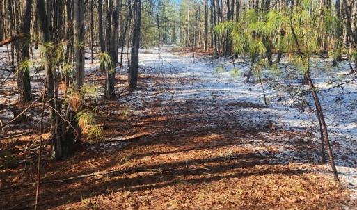 Photo #18 of Old Courthouse Road, Appomattox, VA 8.7 acres