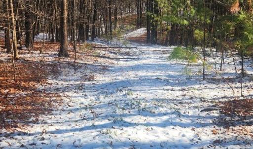 Photo #7 of Old Courthouse Road, Appomattox, VA 8.7 acres