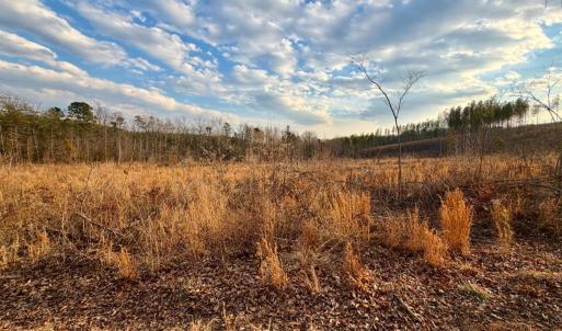 Photo #19 of East Ferry Rd, Gladys, VA 54.3 acres