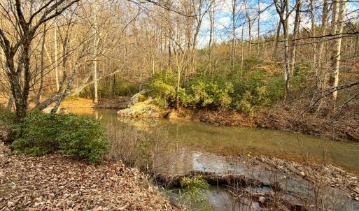 Photo #8 of East Ferry Rd, Gladys, VA 54.3 acres