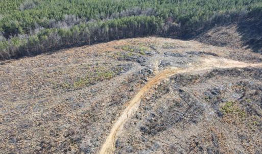 Photo #43 of East Ferry Rd, Gladys, VA 54.3 acres