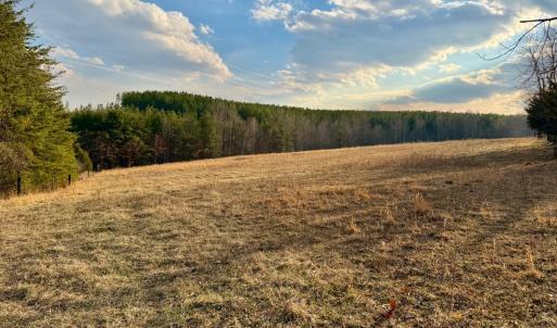 Photo #13 of East Ferry Rd, Gladys, VA 54.3 acres