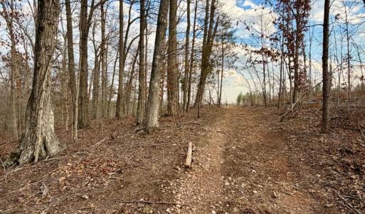 Photo #17 of East Ferry Rd, Gladys, VA 54.3 acres
