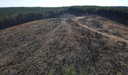 Photo #37 of East Ferry Rd, Gladys, VA 54.3 acres