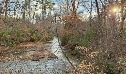 Photo #4 of East Ferry Rd, Gladys, VA 54.3 acres