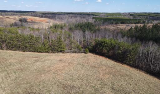 Photo #22 of East Ferry Rd, Gladys, VA 54.3 acres