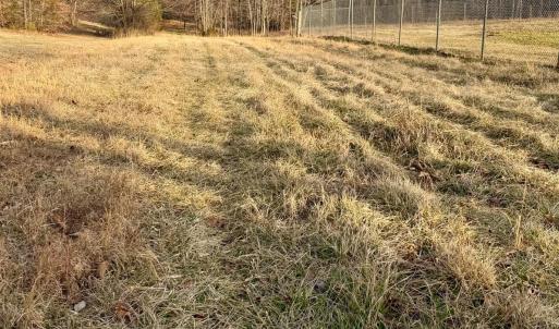 Photo #10 of East Ferry Rd, Gladys, VA 54.3 acres