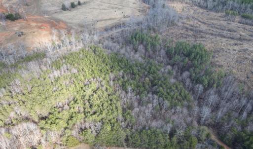 Photo #24 of East Ferry Rd, Gladys, VA 54.3 acres