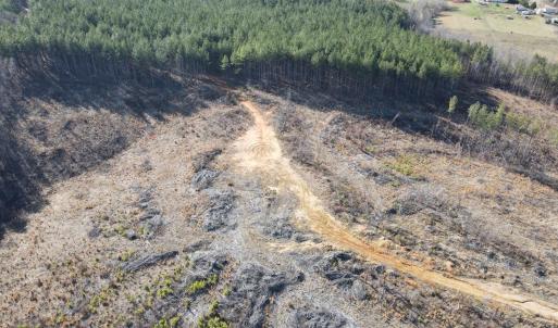 Photo #41 of East Ferry Rd, Gladys, VA 54.3 acres