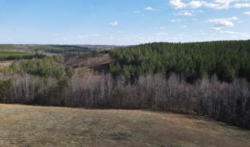 Photo #21 of East Ferry Rd, Gladys, VA 54.3 acres