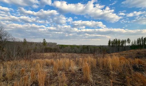 Photo #18 of East Ferry Rd, Gladys, VA 54.3 acres