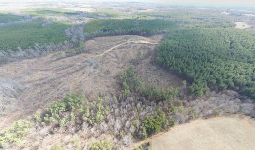 Photo #26 of East Ferry Rd, Gladys, VA 54.3 acres