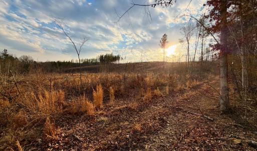 Photo #20 of East Ferry Rd, Gladys, VA 54.3 acres