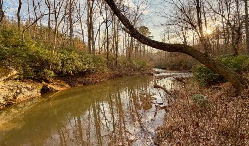 Photo #1 of East Ferry Rd, Gladys, VA 54.3 acres