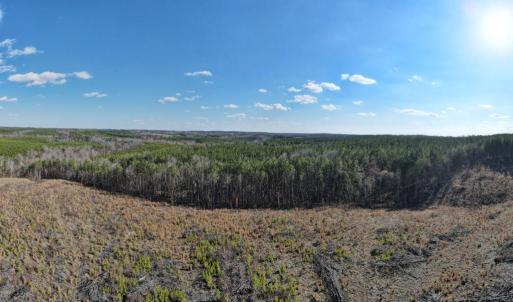 Photo #38 of East Ferry Rd, Gladys, VA 54.3 acres