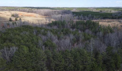 Photo #23 of East Ferry Rd, Gladys, VA 54.3 acres