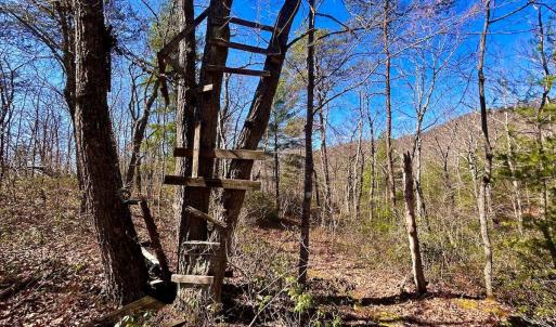 Photo #43 of 14528 Lee Jackson Hwy, Big Island, VA 70.1 acres