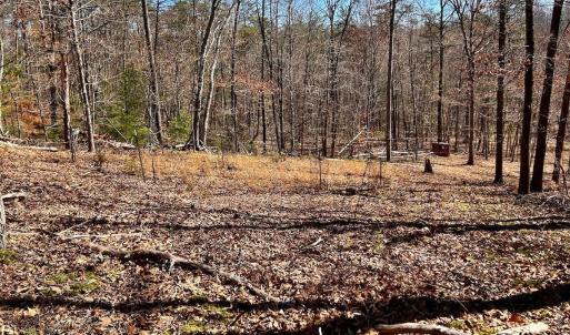 Photo #74 of 14528 Lee Jackson Hwy, Big Island, VA 70.1 acres