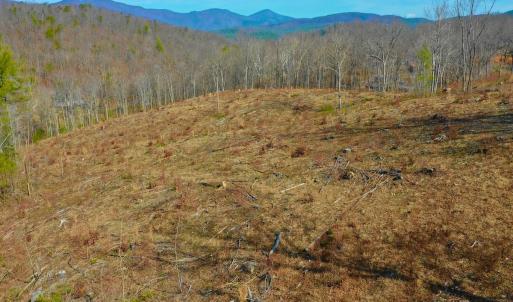 Photo #84 of 14528 Lee Jackson Hwy, Big Island, VA 70.1 acres