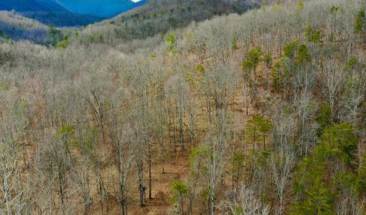 Photo #76 of 14528 Lee Jackson Hwy, Big Island, VA 70.1 acres