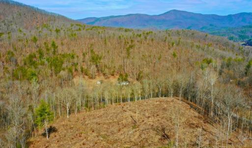 Photo #22 of 14528 Lee Jackson Hwy, Big Island, VA 70.1 acres