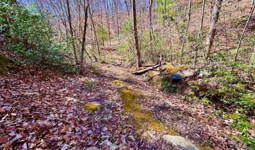 Photo #61 of 14528 Lee Jackson Hwy, Big Island, VA 70.1 acres