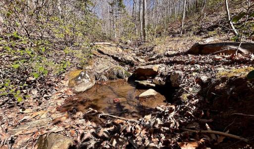 Photo #58 of 14528 Lee Jackson Hwy, Big Island, VA 70.1 acres