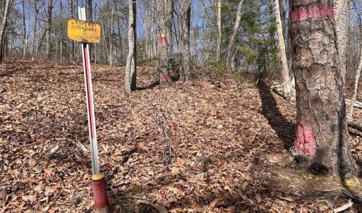 Photo #39 of 14528 Lee Jackson Hwy, Big Island, VA 70.1 acres