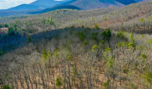 Photo #47 of 14528 Lee Jackson Hwy, Big Island, VA 70.1 acres