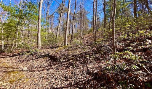 Photo #57 of 14528 Lee Jackson Hwy, Big Island, VA 70.1 acres