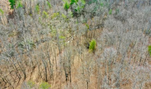 Photo #71 of 14528 Lee Jackson Hwy, Big Island, VA 70.1 acres