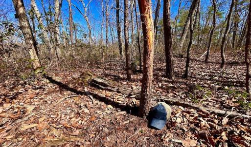 Photo #34 of 14528 Lee Jackson Hwy, Big Island, VA 70.1 acres