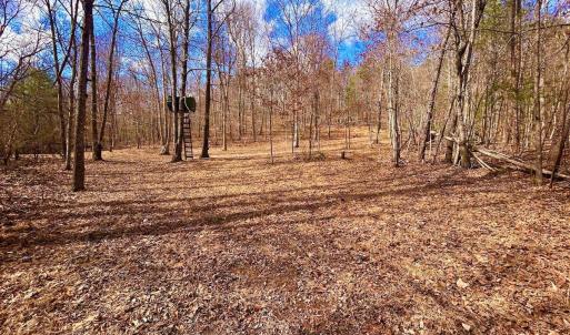 Photo #77 of 14528 Lee Jackson Hwy, Big Island, VA 70.1 acres