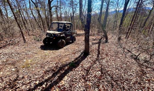 Photo #28 of 14528 Lee Jackson Hwy, Big Island, VA 70.1 acres