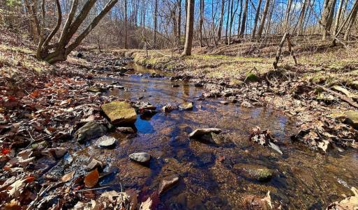 Photo #6 of 14528 Lee Jackson Hwy, Big Island, VA 70.1 acres