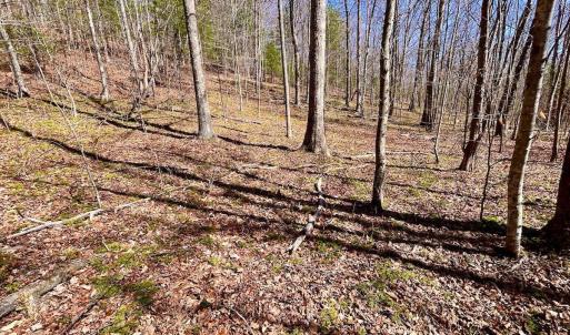 Photo #69 of 14528 Lee Jackson Hwy, Big Island, VA 70.1 acres