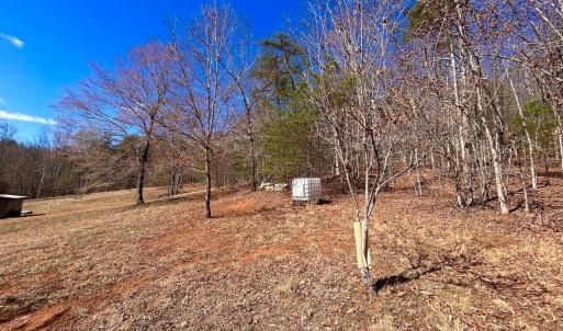 Photo #24 of 14528 Lee Jackson Hwy, Big Island, VA 70.1 acres