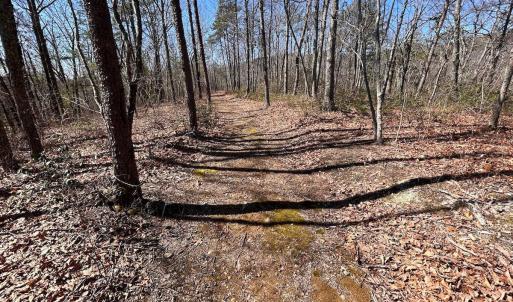 Photo #27 of 14528 Lee Jackson Hwy, Big Island, VA 70.1 acres