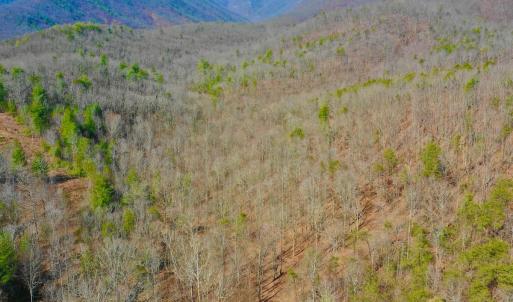 Photo #70 of 14528 Lee Jackson Hwy, Big Island, VA 70.1 acres