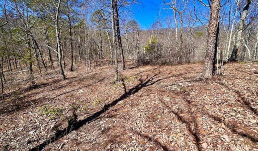 Photo #44 of 14528 Lee Jackson Hwy, Big Island, VA 70.1 acres