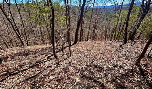 Photo #62 of 14528 Lee Jackson Hwy, Big Island, VA 70.1 acres