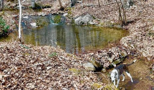 Photo #72 of 14528 Lee Jackson Hwy, Big Island, VA 70.1 acres