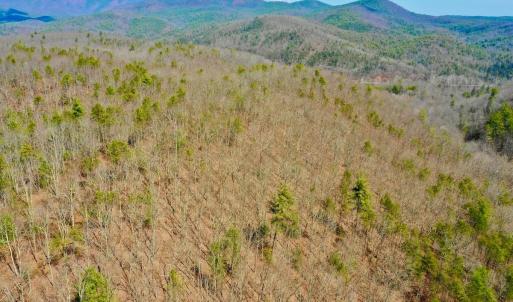 Photo #33 of 14528 Lee Jackson Hwy, Big Island, VA 70.1 acres