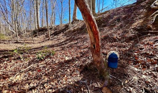 Photo #80 of 14528 Lee Jackson Hwy, Big Island, VA 70.1 acres