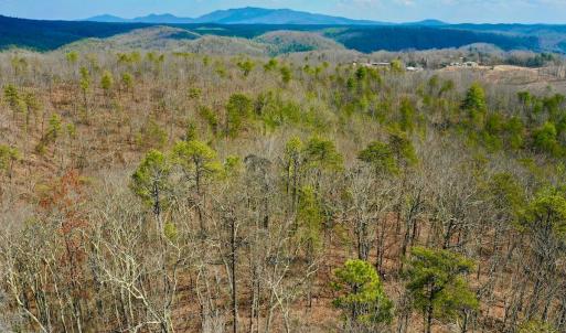 Photo #32 of 14528 Lee Jackson Hwy, Big Island, VA 70.1 acres