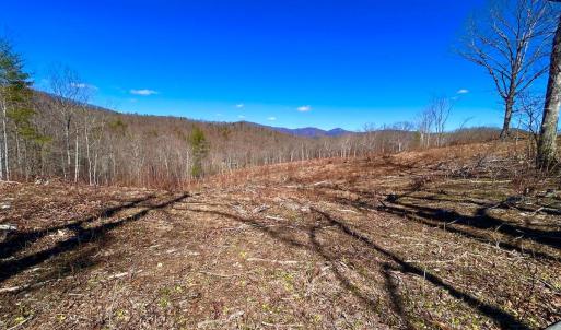 Photo #83 of 14528 Lee Jackson Hwy, Big Island, VA 70.1 acres