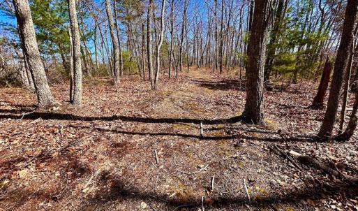 Photo #30 of 14528 Lee Jackson Hwy, Big Island, VA 70.1 acres