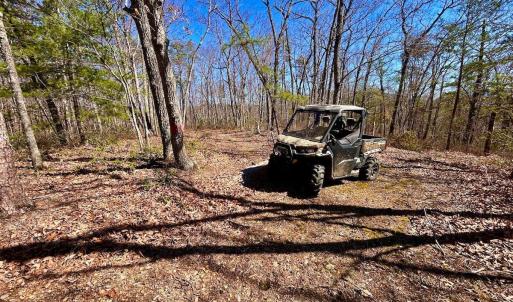 Photo #45 of 14528 Lee Jackson Hwy, Big Island, VA 70.1 acres