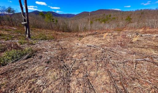 Photo #82 of 14528 Lee Jackson Hwy, Big Island, VA 70.1 acres