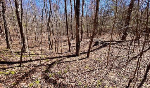 Photo #73 of 14528 Lee Jackson Hwy, Big Island, VA 70.1 acres